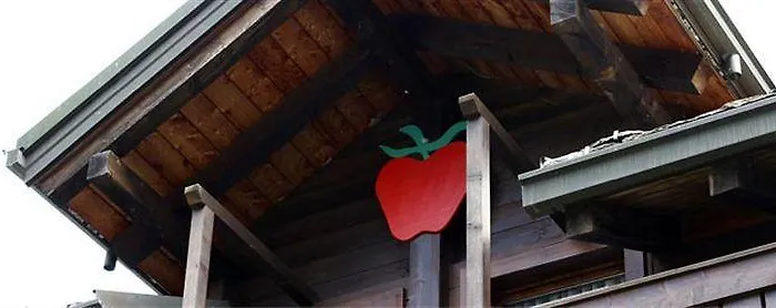 Lejlighedshotel Apfel Gressoney-Saint-Jean